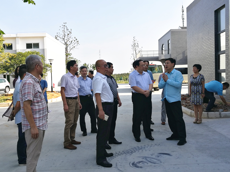 杭州市副市長(cháng)王宏一行蒞臨浙茶集團特種茶中心調研余杭區茶產(chǎn)業(yè)茶博園項目