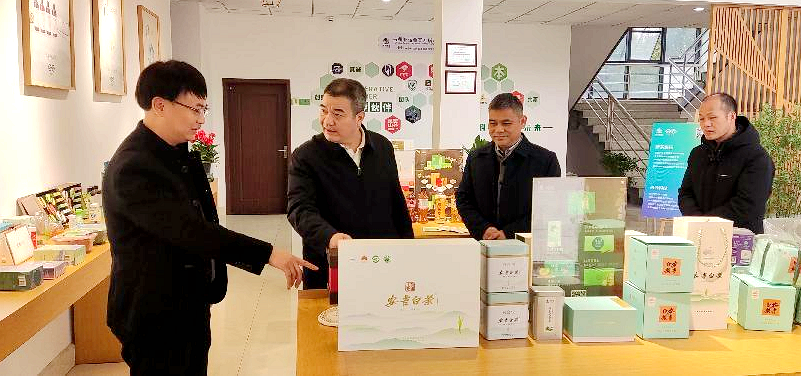 省供銷(xiāo)社監事會(huì )主任童日暉調研浙茶集團興合科技公司